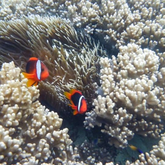 水族館